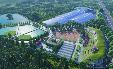 建寧縣委書記林大茂一行赴天馬科技集團(tuán)考察交流 加速推進(jìn)三產(chǎn)融合項(xiàng)目建設(shè)